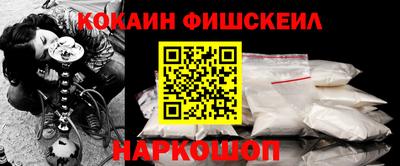 крисы Славгород