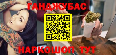 крисы Славгород