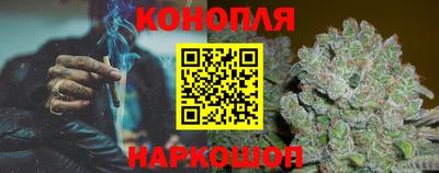 крисы Славгород