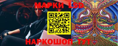 крисы Славгород