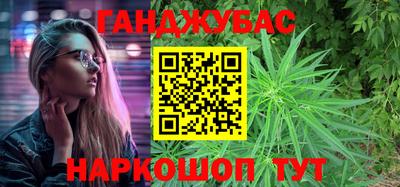 крисы Славгород