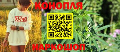 не бодяженный Сланцы
