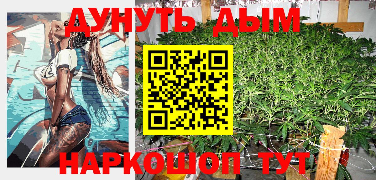 Бошки марихуана планчик  Каннабис сатива  Скопин  Каннабис индика  Шишки марихуана VHQ 